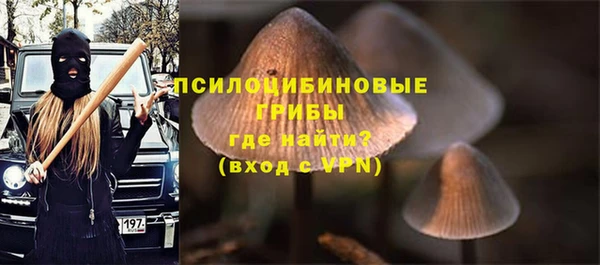 дурь Алексеевка