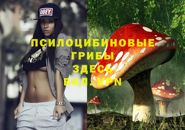 дурь Алексин