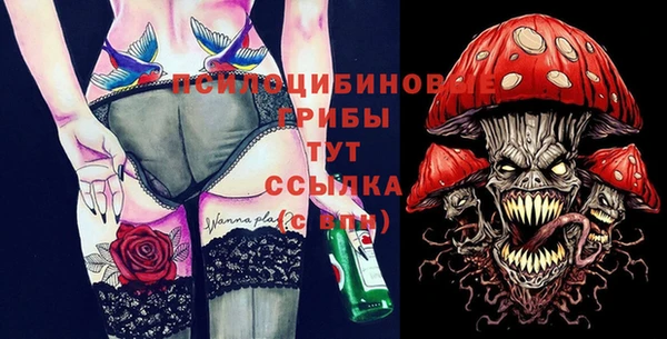 дурь Алексин