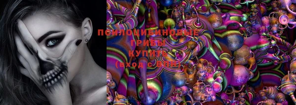 ГАЛЛЮЦИНОГЕННЫЕ ГРИБЫ Абдулино